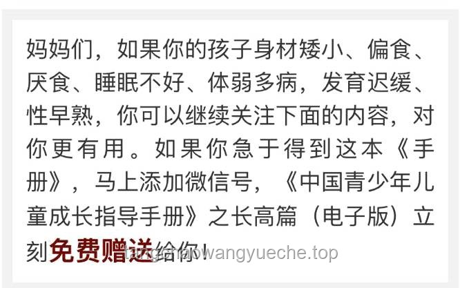 母子错过航班大闹机场，声称耽误考公：一场关于情绪管理与规划的警示