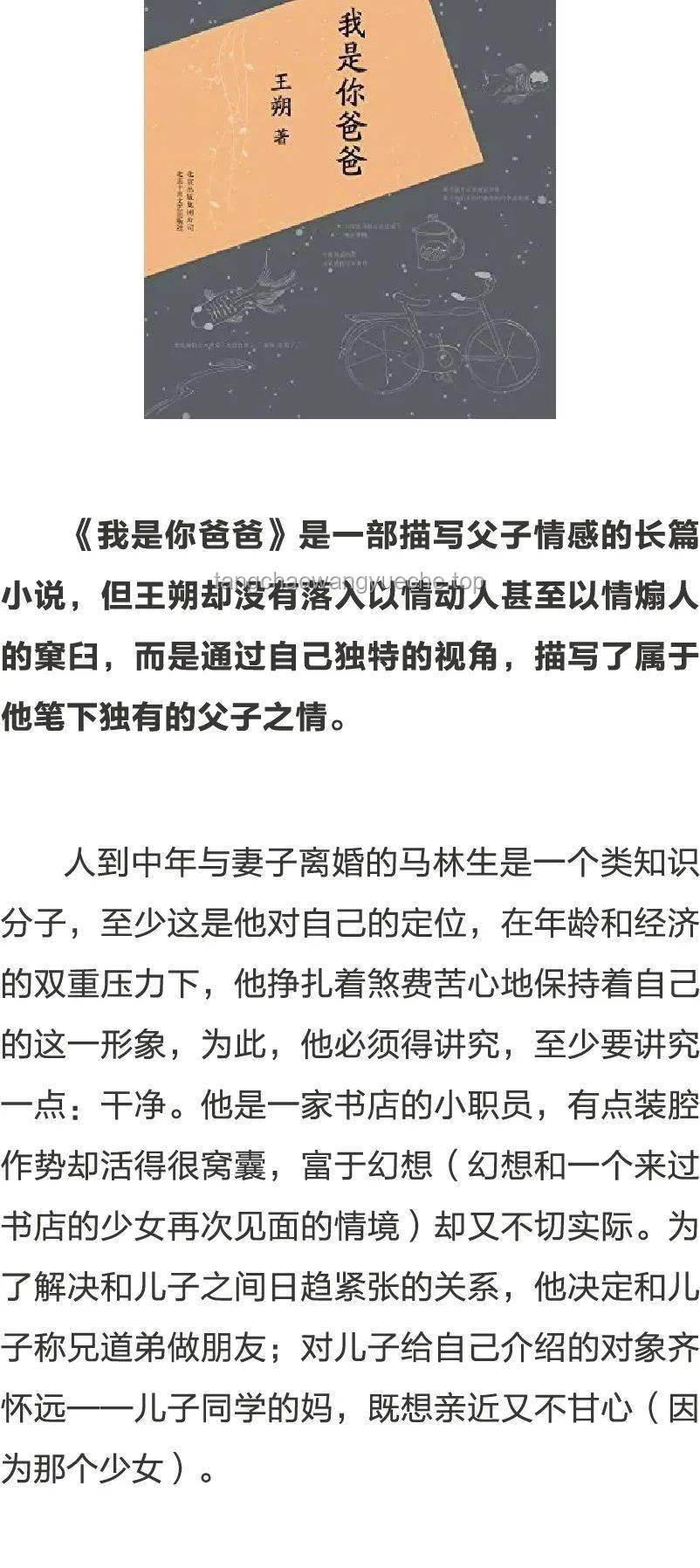 母子错过航班大闹机场，声称耽误考公：一场关于情绪管理与规划的警示